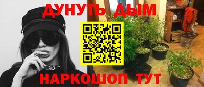 амф Будённовск