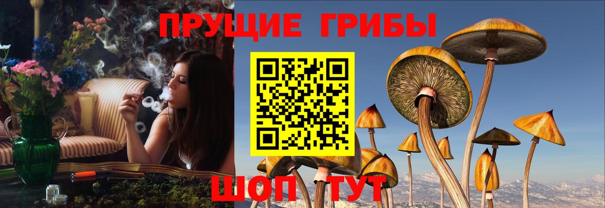 Галлюциногенные грибы MAGIC MUSHROOMS  Галлюциногенные грибы прущие грибы  Вход с VPN  Мытищи 